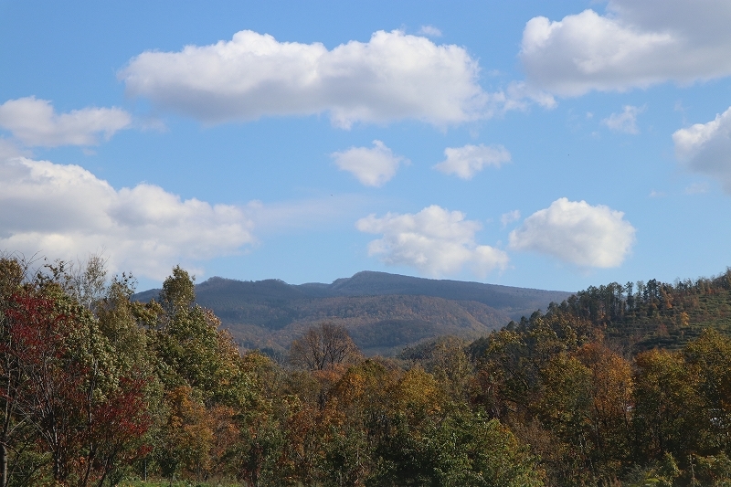 b0250154_19445545.jpg