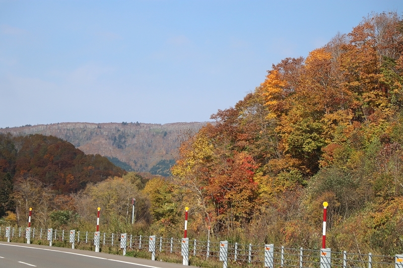 b0250154_19464391.jpg