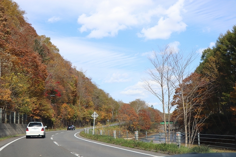 b0250154_19472452.jpg