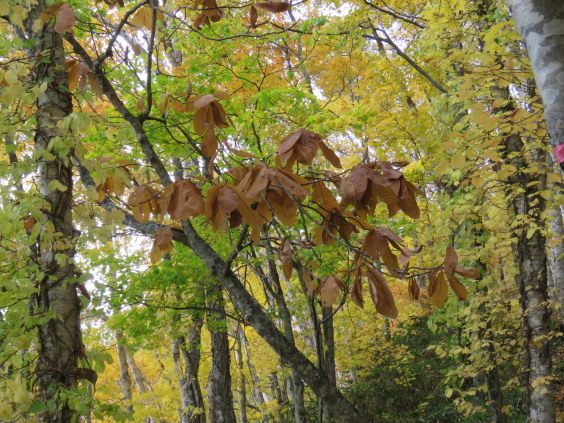 b0366555_13290440.jpg