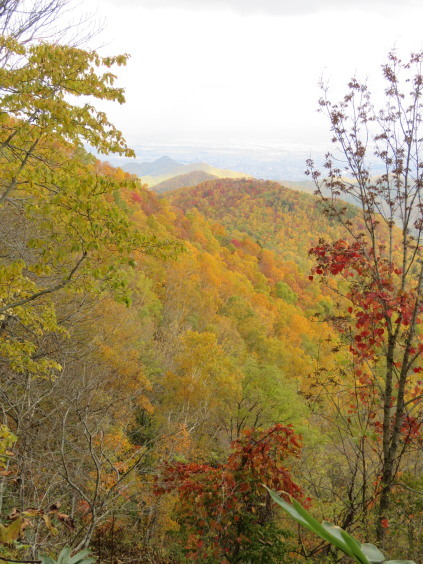 b0366555_13312757.jpg