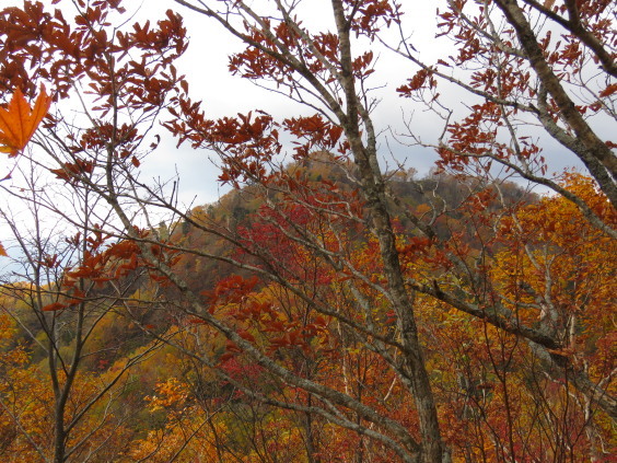 b0366555_13323746.jpg