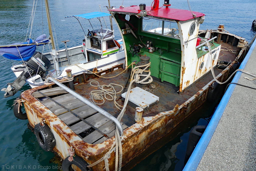 d0100156_19361665.jpg