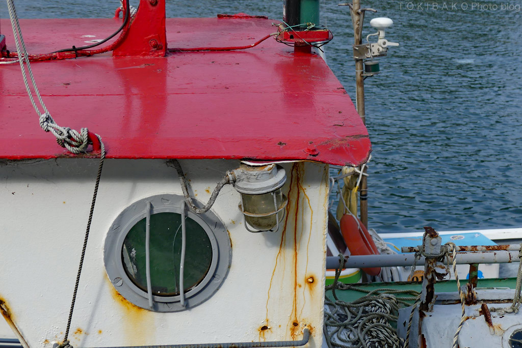 d0100156_19370615.jpg