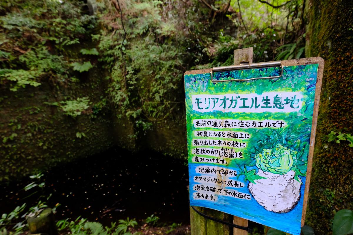 c0084666_22315156.jpg