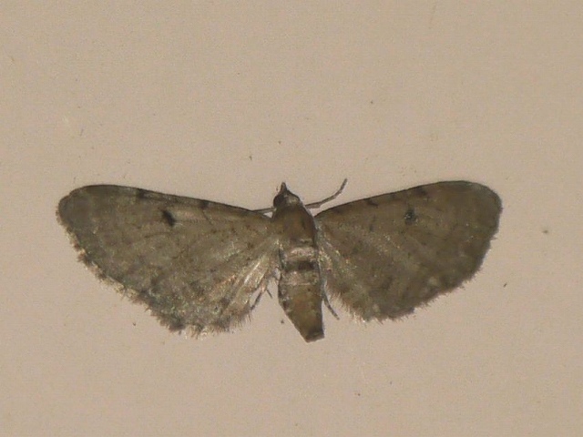 d0088184_21381552.jpg