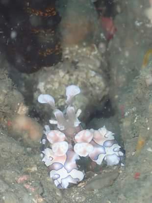 f0151886_14352941.jpg