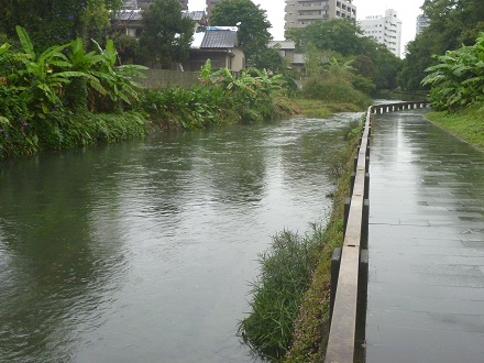 e0048994_05471448.jpg