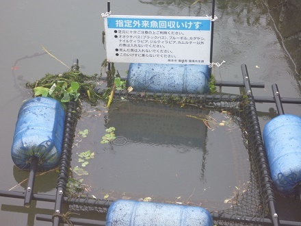 e0048994_05563106.jpg