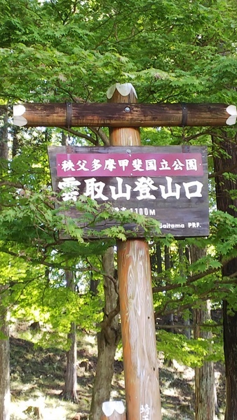 d0098295_16051999.jpg