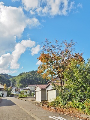 c0336902_17252827.jpg