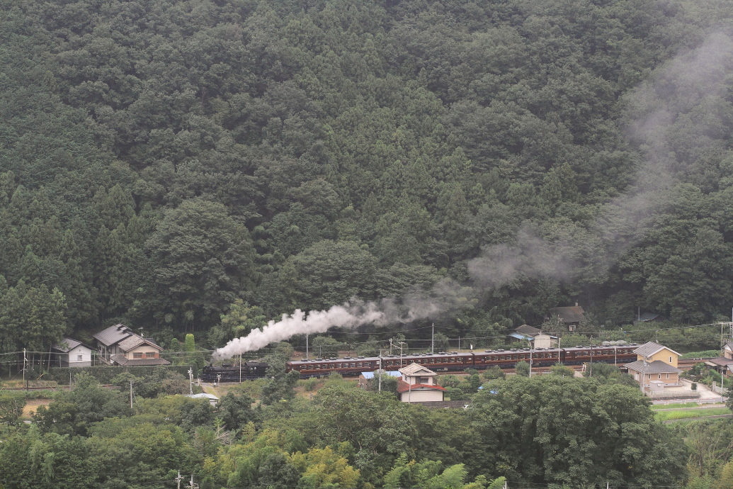 b0190710_23353927.jpg