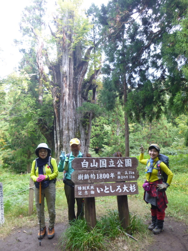 d0170615_11304339.jpg