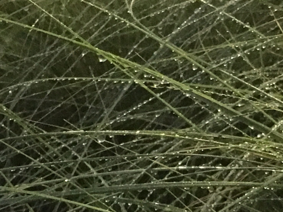 a0098418_08442088.jpg