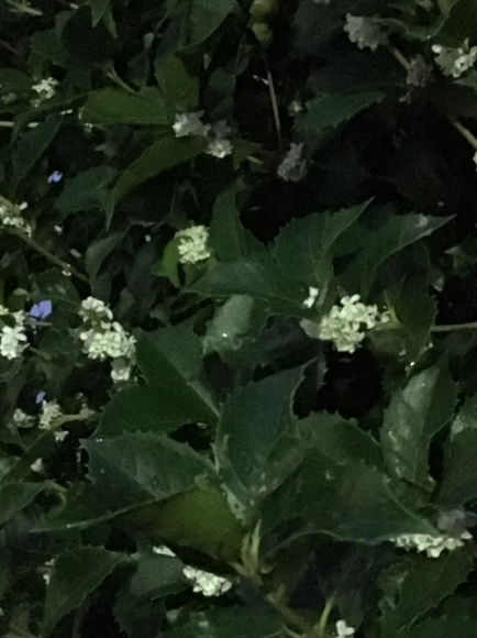a0098418_23453597.jpg