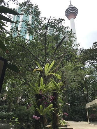f0371533_23544026.jpg