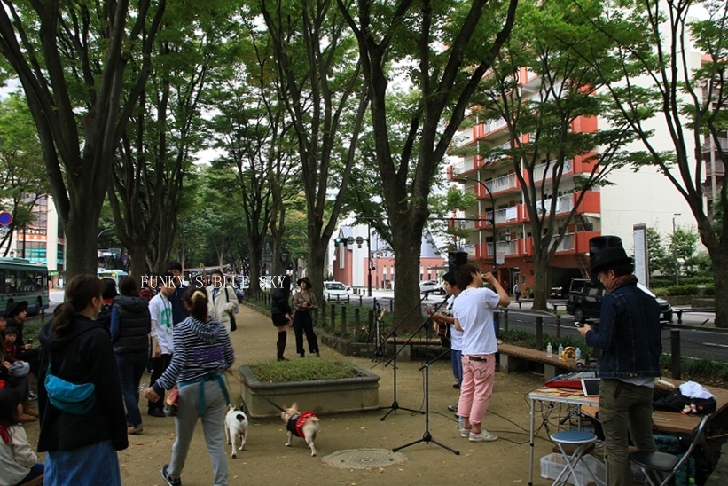 c0145250_11213811.jpg