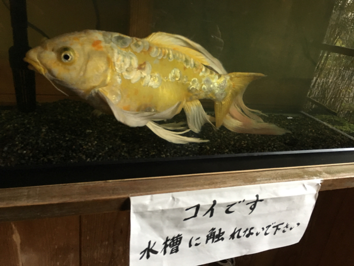 b0287453_01191617.jpg