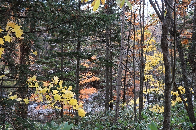 b0250154_21203663.jpg