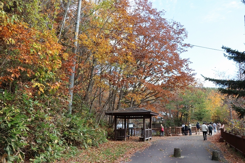 b0250154_21212556.jpg