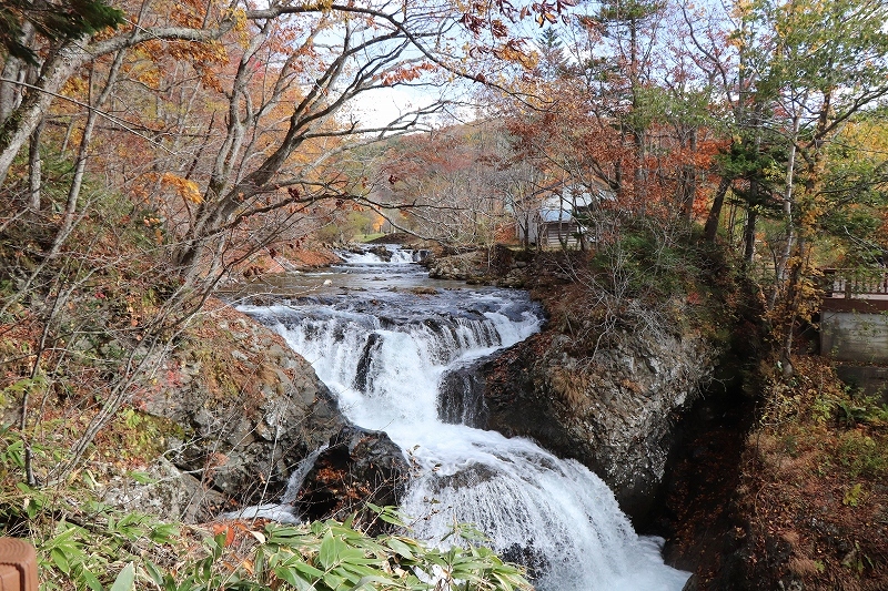 b0250154_21294880.jpg
