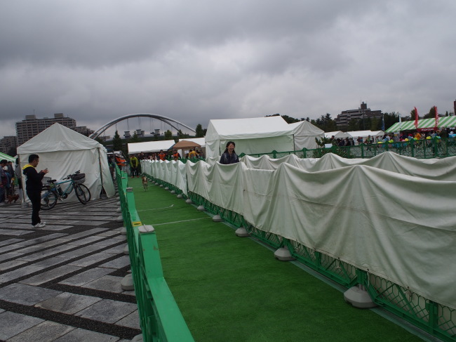 b0246876_20484842.jpg