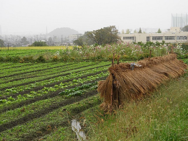 f0378979_13171759.jpg