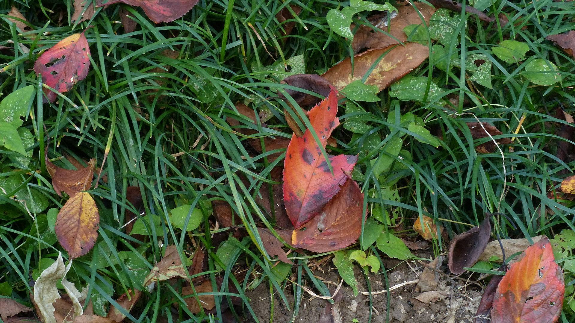 a0185081_01534273.jpg