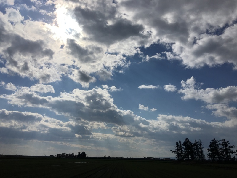 d0355681_17335571.jpeg
