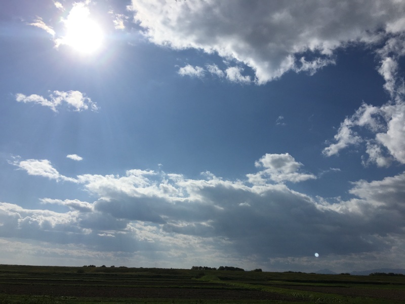 d0355681_17403042.jpeg