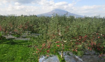 f0003283_09262354.jpg