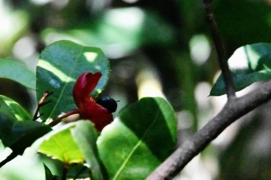 b0329186_08243513.jpg