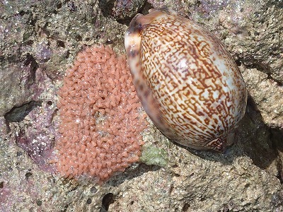 f0338188_02323409.jpg