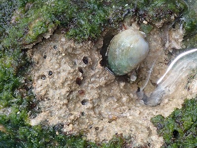 f0338188_02343621.jpg