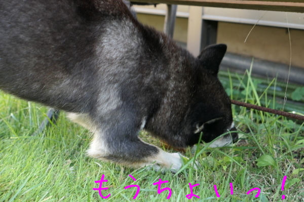 f0369014_12025892.jpg