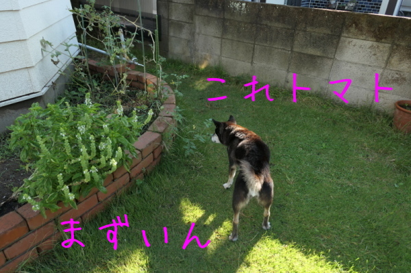 f0369014_13055066.jpg