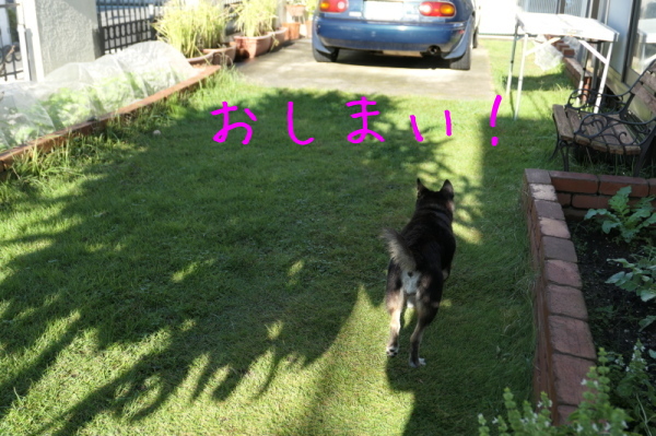 f0369014_13143171.jpg