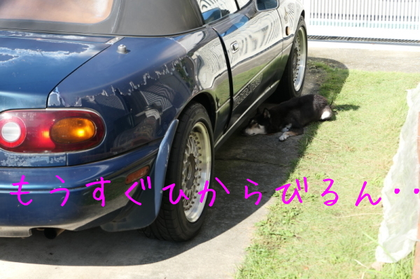 f0369014_13411075.jpg