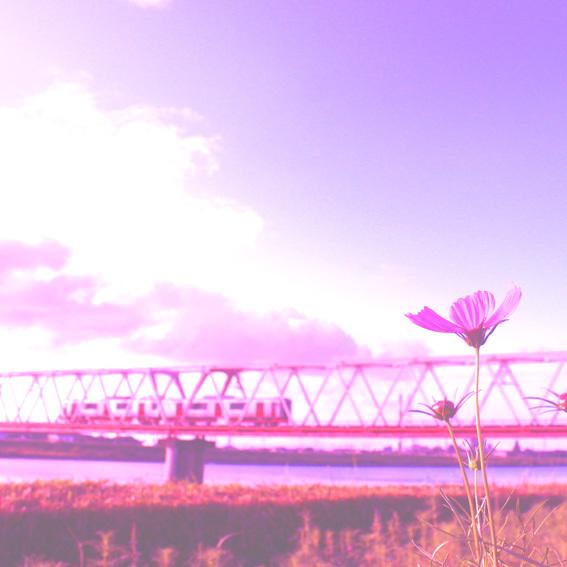 a0329820_11325059.jpg
