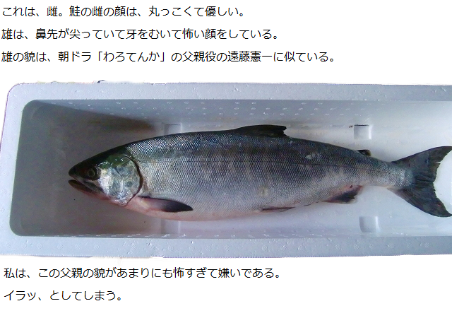 c0123031_1124983.png