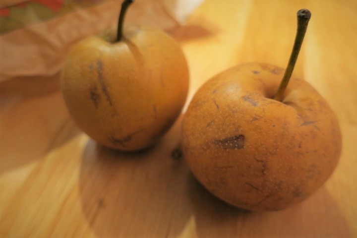 e0300042_17481420.jpg