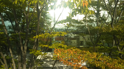 a0303951_1010167.jpg