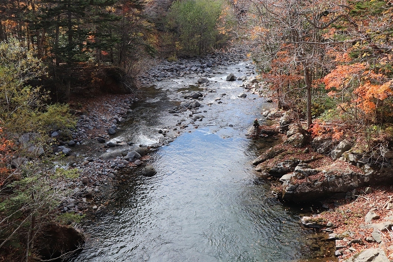 b0250154_06220676.jpg