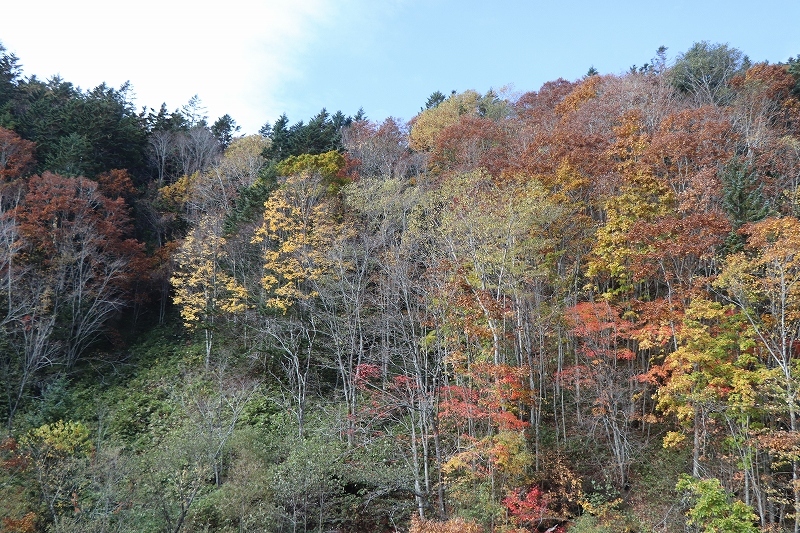 b0250154_06234233.jpg