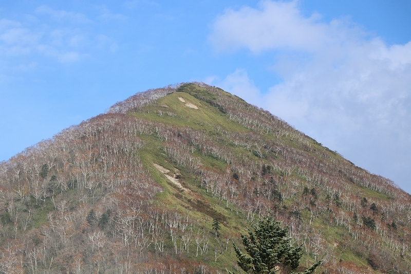 b0250154_20221201.jpg