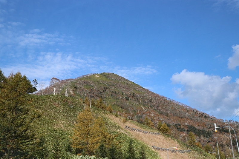 b0250154_20222764.jpg