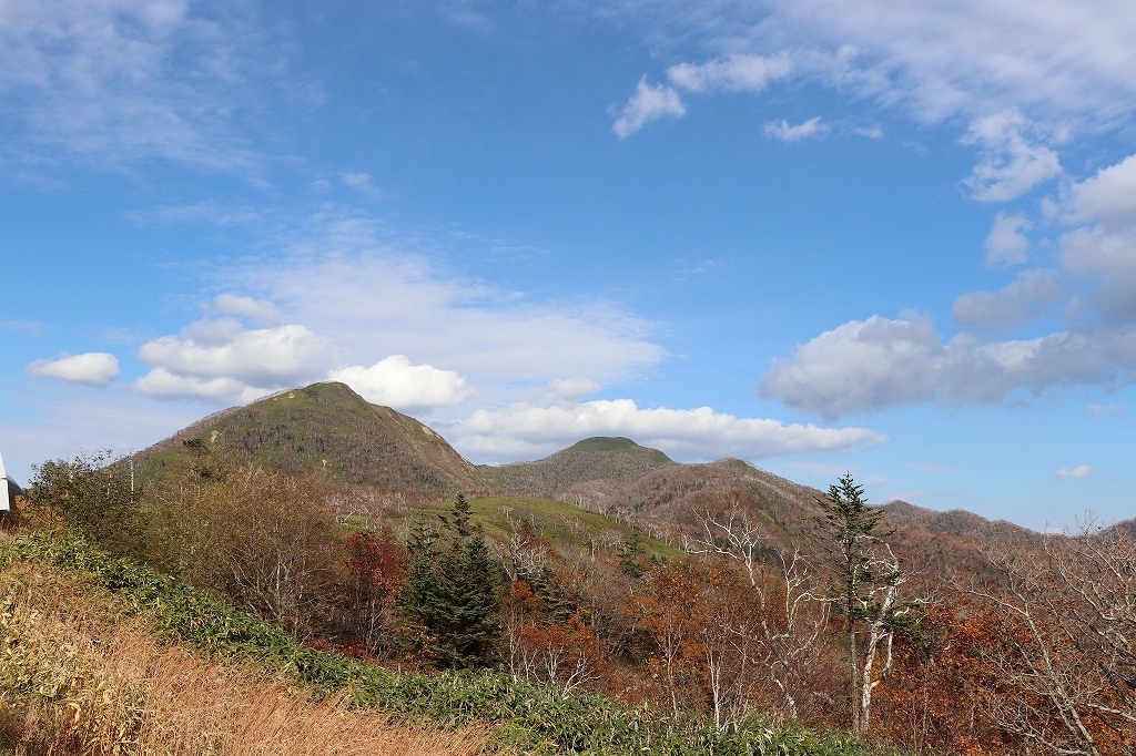 b0250154_20240062.jpg
