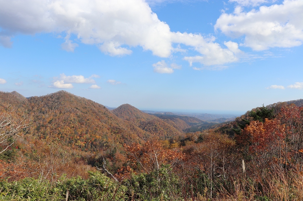 b0250154_20241690.jpg