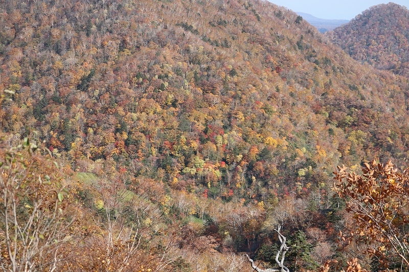 b0250154_20243787.jpg