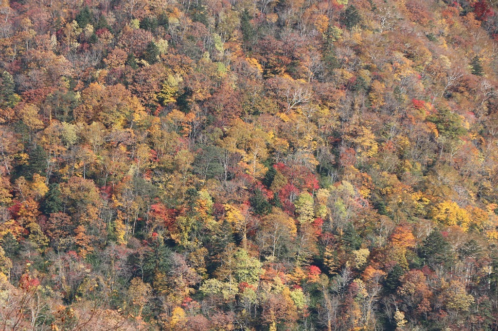 b0250154_20250101.jpg